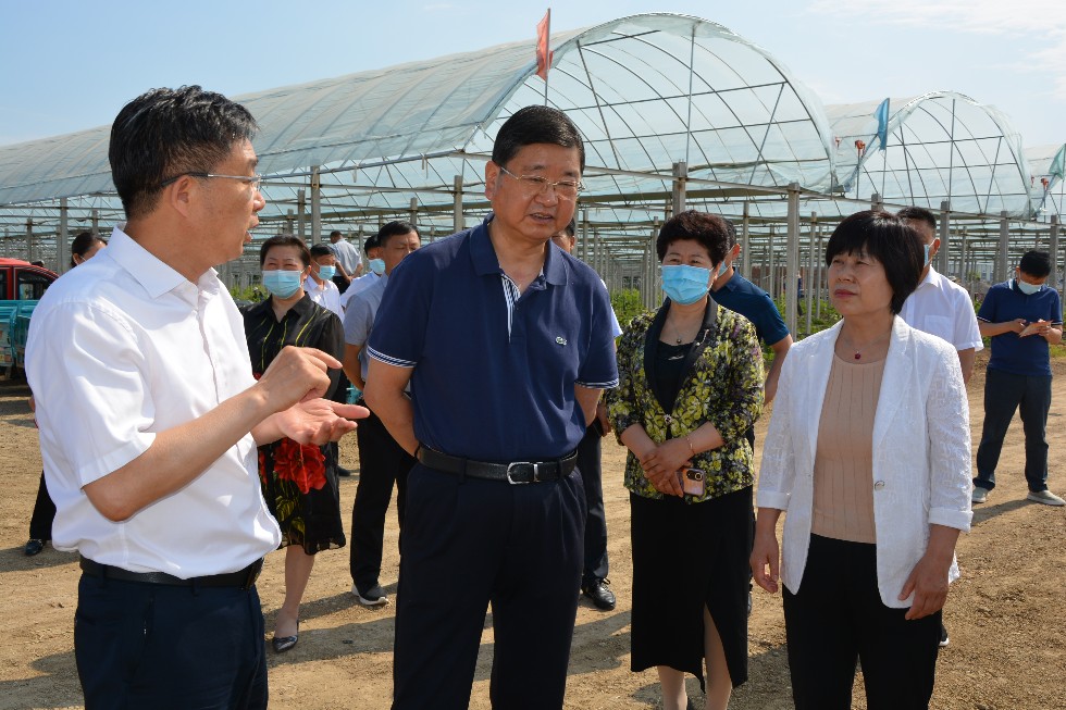 2022.5.26全市镇级民生实事项目人大代表票决制工作推进会1.JPG
