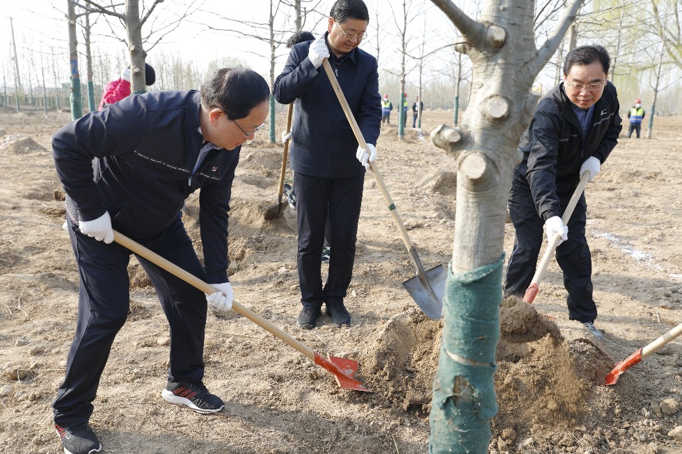 植树1.JPG
