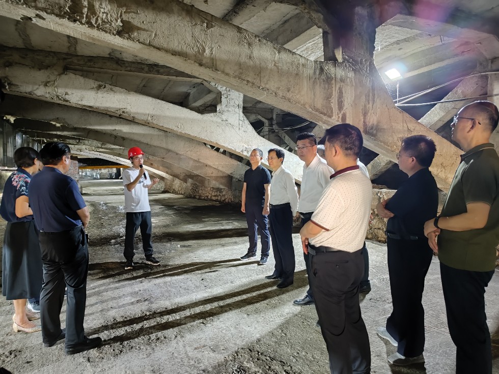 城区雨污分流工程建设专题视察3.jpg