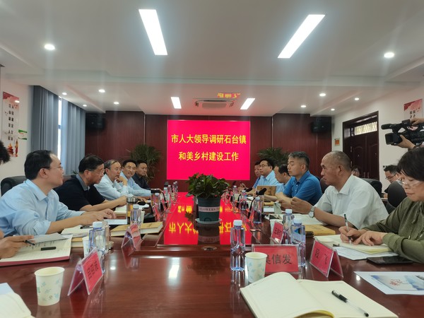 5月14日方主任调研杜集区石台镇和美乡村建设，在梧桐村召开座谈会2.jpg