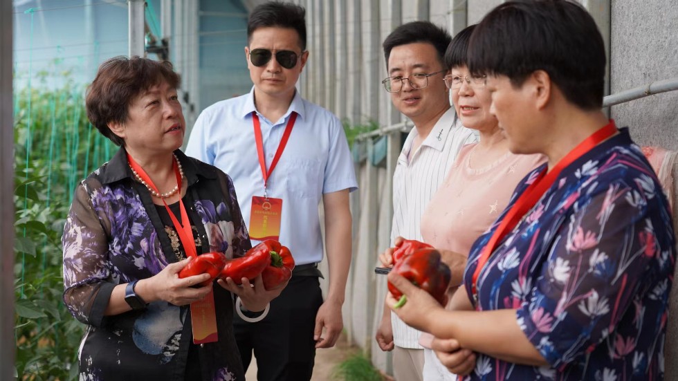 微信图片_20240612084741.jpg