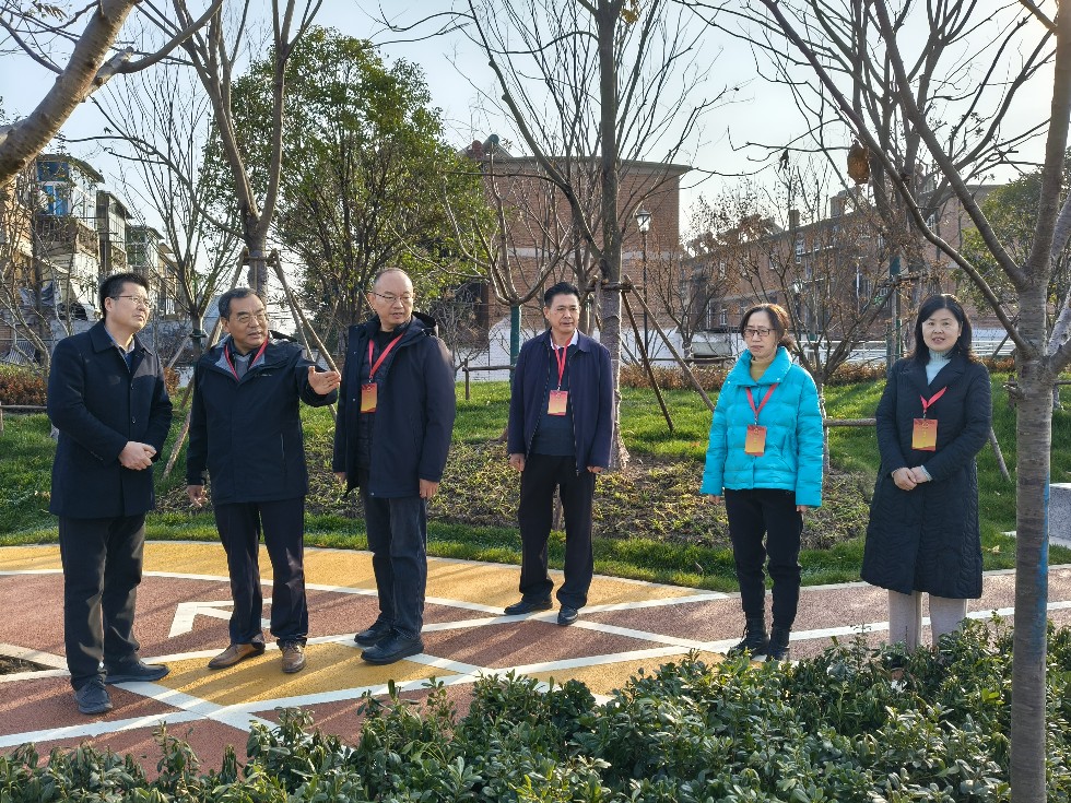 12.12市人大代表调研口袋公园4.jpg
