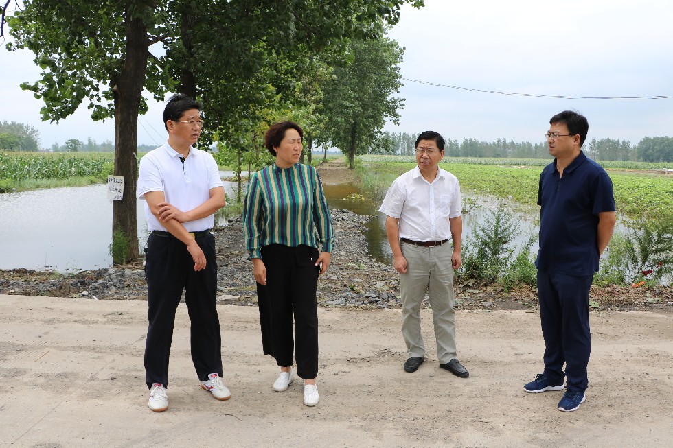 （方宗泽）方宗泽赴濉溪县五沟镇督查指导防汛救灾工作  (1).JPG