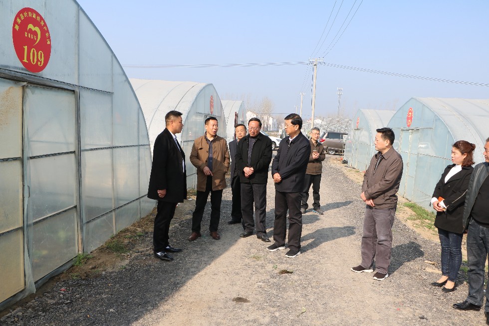 方宗泽赴百善镇叶刘湖村开展扶贫调研帮扶活动  (2).JPG