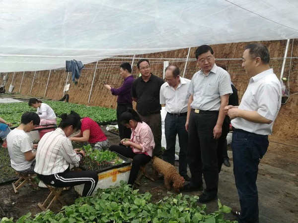 QQ图片20190531091114.jpg