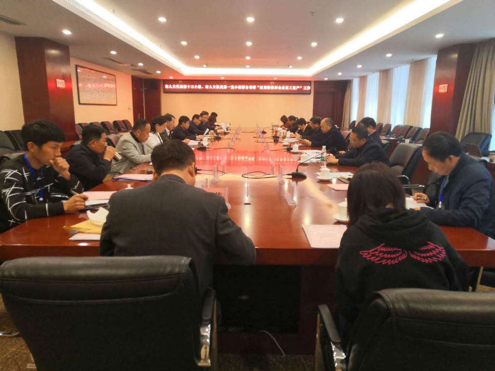 4.22市人大代表十三小组市人大机关一支部第一党小组联合调研3.jpg