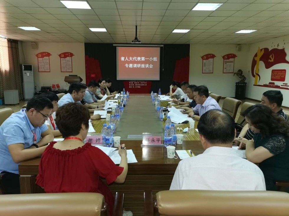 省人大代表第一小组调研1.jpg