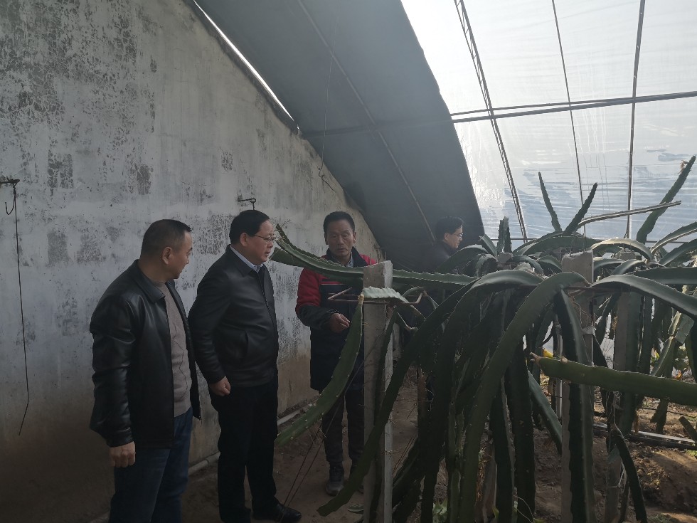 金文调研科技农业.jpg
