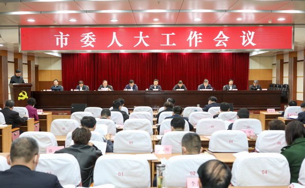 20210329_市委人大工作会议-陈文骁摄-007.jpg