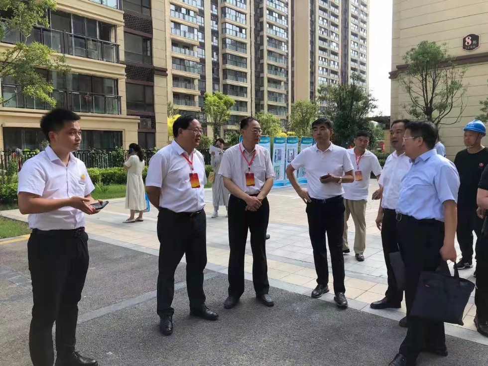 电梯检查金主任2.jpg
